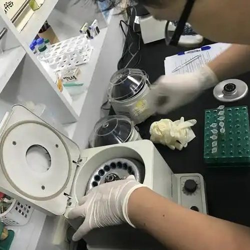 全外显子基因检测