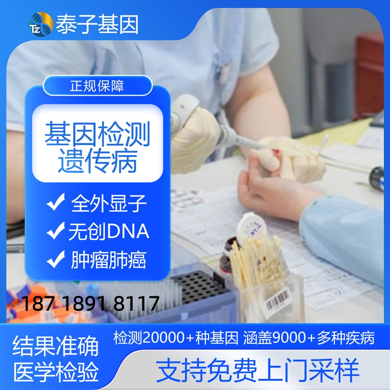 全外基因检测