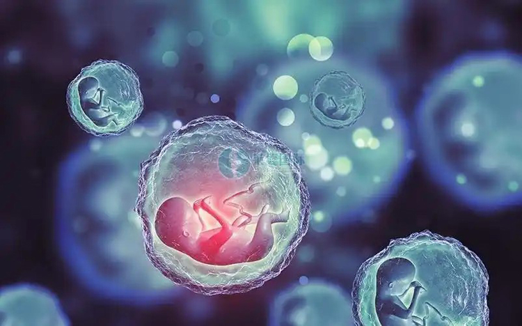 10年生殖中心老师分享：试管婴儿费用详解与省心攻略（试管之路指南）